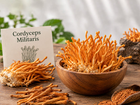 Cordyceps
