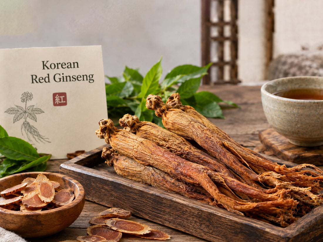 Ginseng (Korean Red Ginseng)